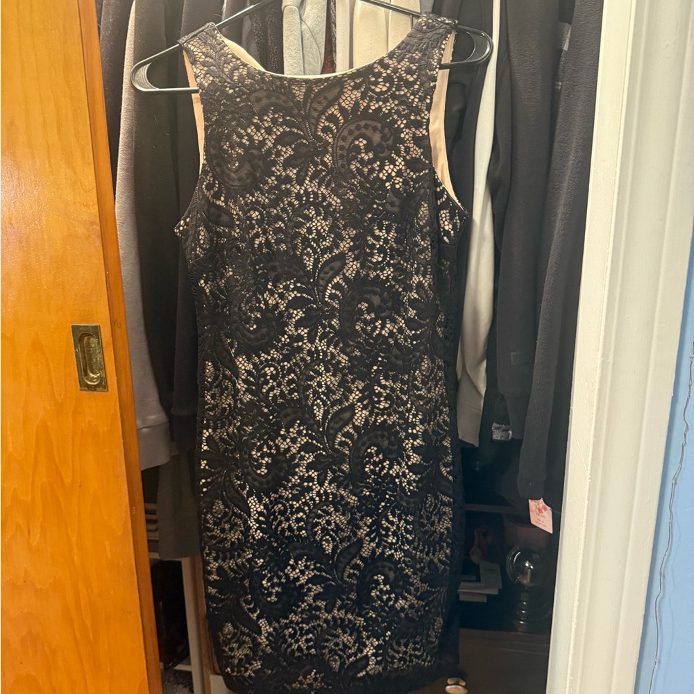 Emerald Sundae Black Tan Sheath Mini Dress
